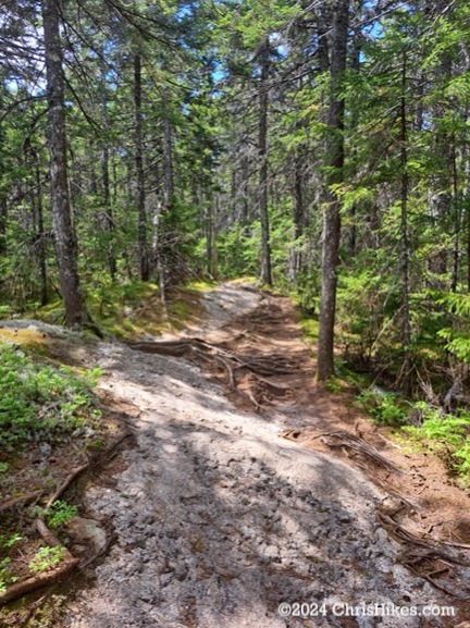 Photograph of hiking trail passing over bedrock