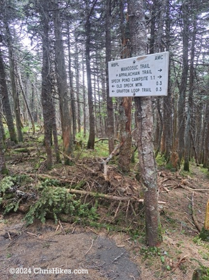 Picture of trail sign posted on a pine tree