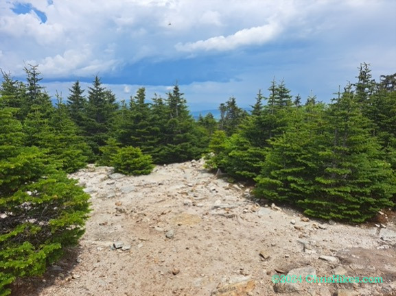 Photograph of mountain summit with small rocks and trees, cloudy sky