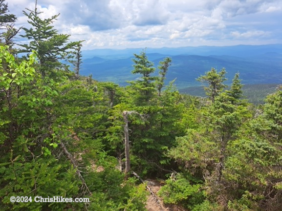 Photograph of distant mountains past nearby pine trees