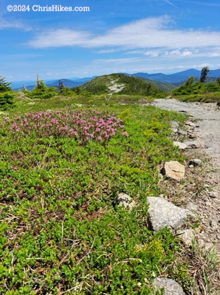 Saddleback Range, June 2024