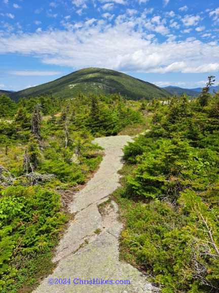 Photograph of trail going toward The Horn mountain