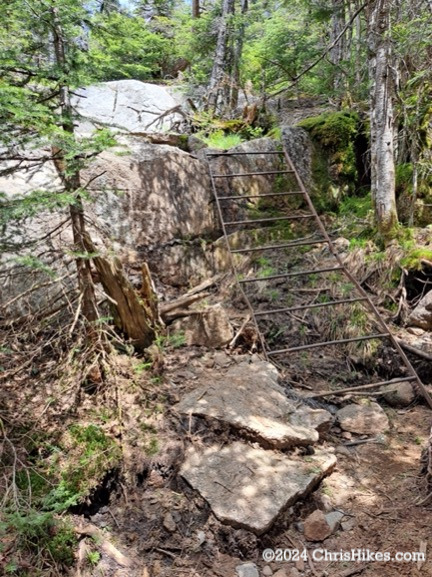 Photograph of metal ladder on a rocky cliff