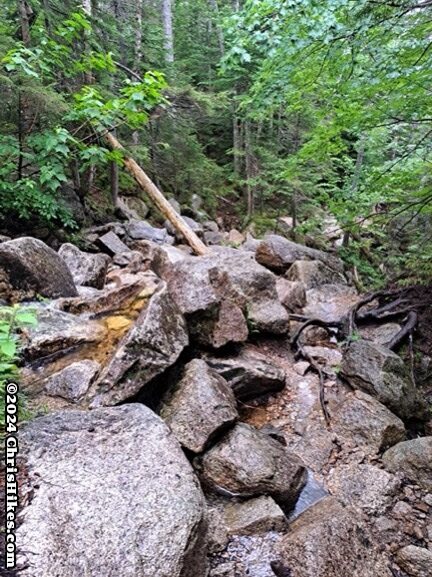 photograph of medium sized jagged rocks in hiking trail