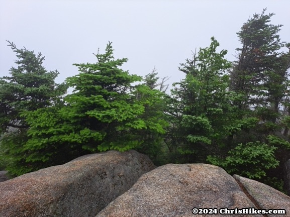 photograph of mountain summit with rocks, trees, and a view obscured by clouds