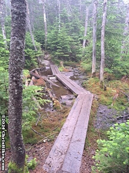 photograph of wood boards across boggy hiking trail