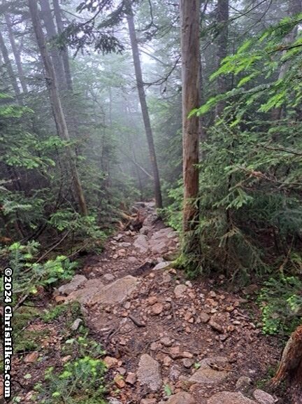 photograph of steep hiking trail down loose rock scree