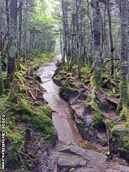 photograph of hiking trail up a steep, wet rock