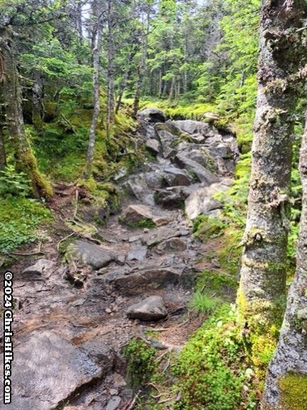 photograph of hiking trail up steep, rocky terrain