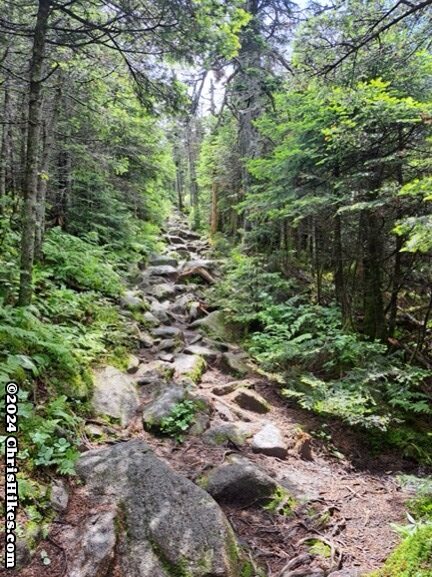 photograph of hiking trail filled with medium sized rocks