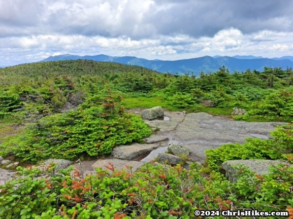 North and South Kinsman Mountains, June 2024