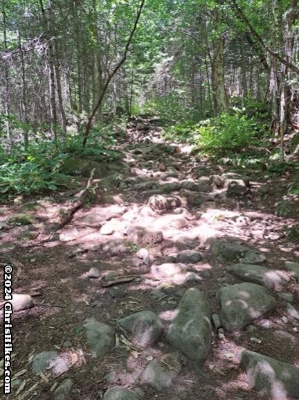 photograph of hiking trail filled with medium sized rocks, surrounded by green trees