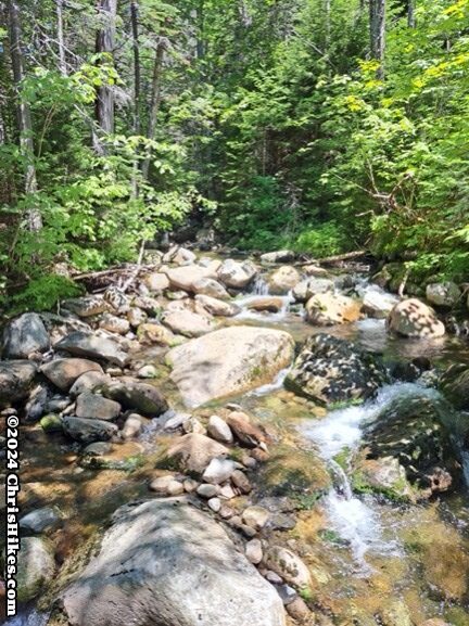 Photograph of rock filled stream in a green forest