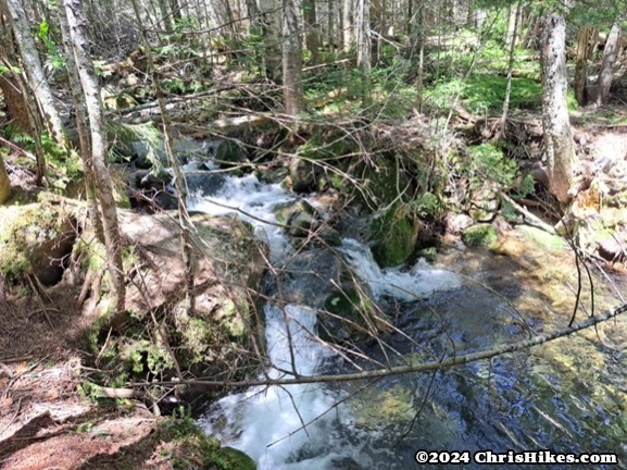 photograph of small waterfalls in the woods