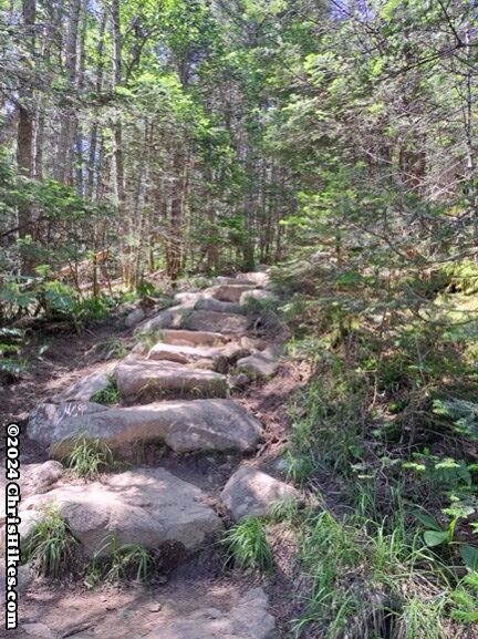 Photograph of rock steps on a hiking trail in a green forest.