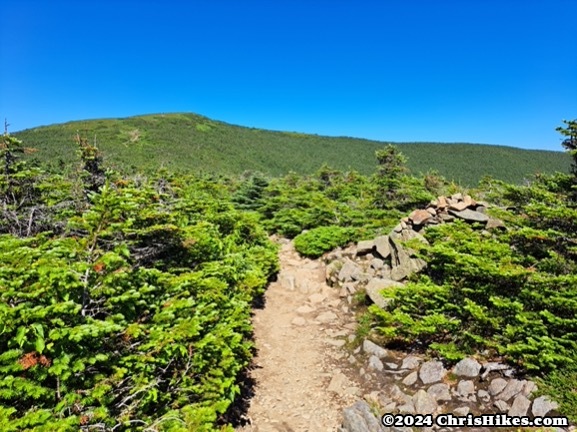 photograph of smooth hiking trail on summit ridge with a green mountain in the near background