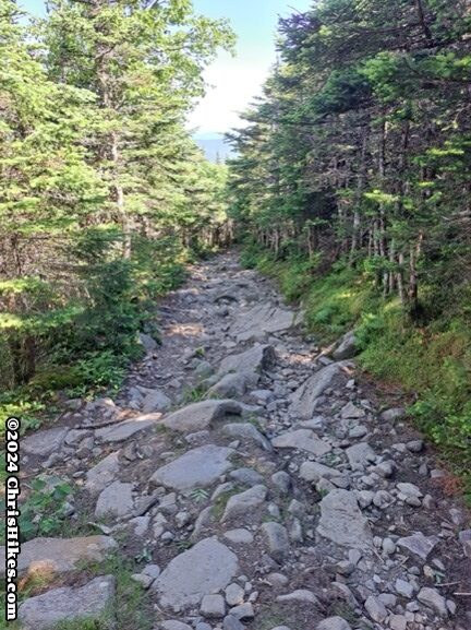 photograph of hiking trail filled with medium sized rocks and surrounded by trees.