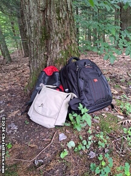 A drawstring bag, small messenger bag, and laptop backpack leaning against a tree.