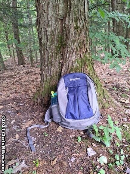 blue backpack leaning against a tree