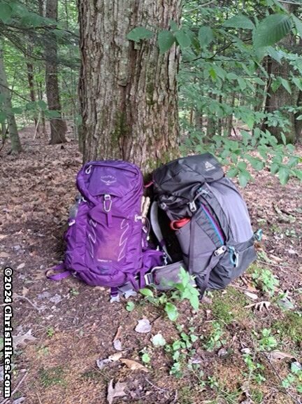 Two backpacks leaning against a tree