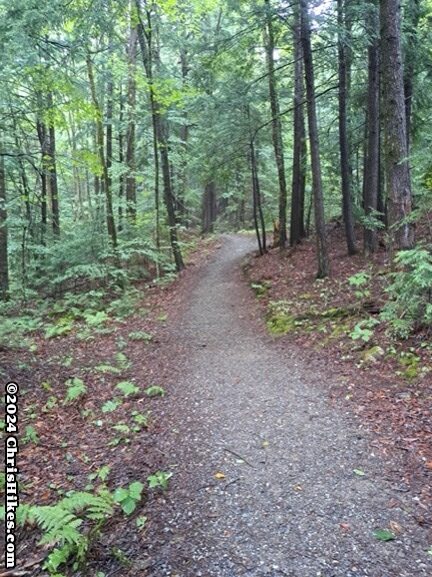 Photograph of gravel walking path in the woods