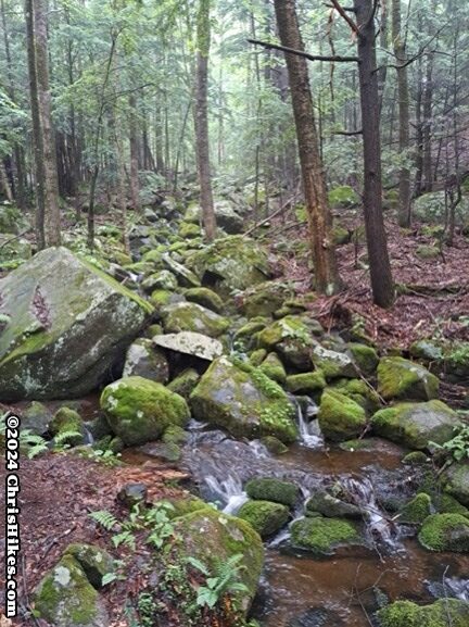 photograph of rocky stream with low water