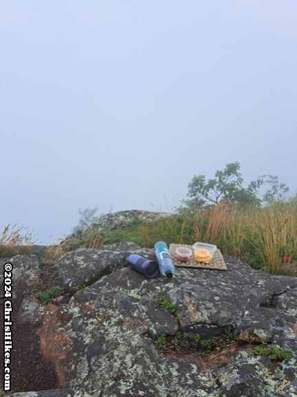 photograph of fruit, nuts, water, and coffee mug at a mountain overlook