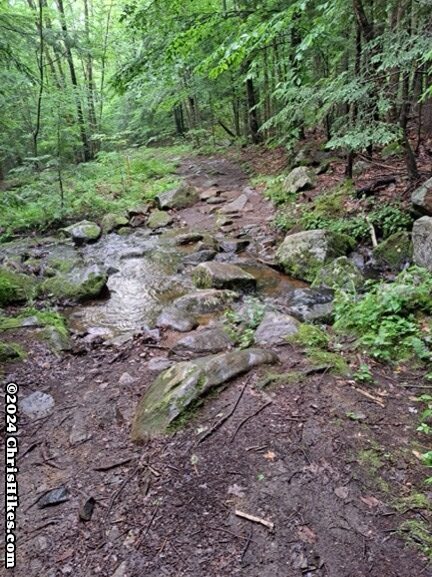 photograph of hiking trail crossing a low stream