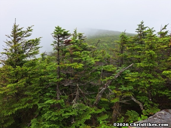 Cannon Mountain Hike via Kinsman Ridge Trail (NH48)
